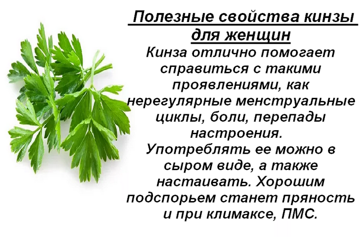 Петрушка сушёная — химический состав, пищевая ценность, бжу