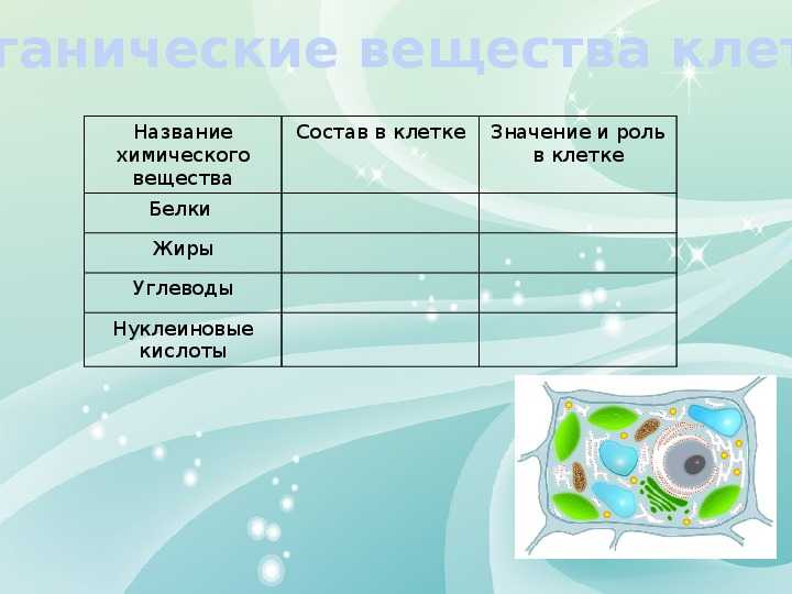 Белки, жиры и углеводы
