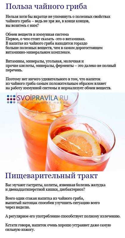 Эффективен ли чайный гриб для похудения, польза и вред его использования, рецепты диет, отзывы врачей и худеющих medistok.ru - жизнь без болезней и лекарств