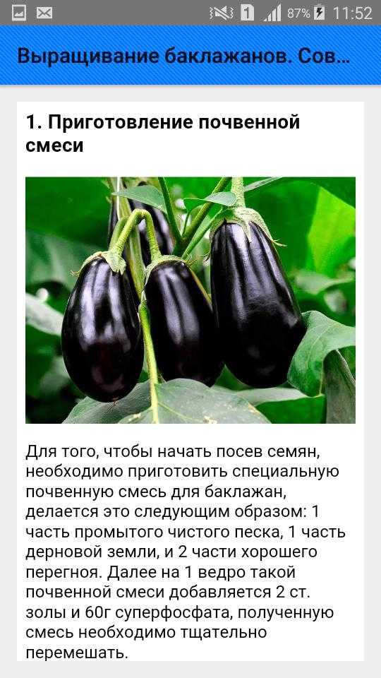 Питание при запоре