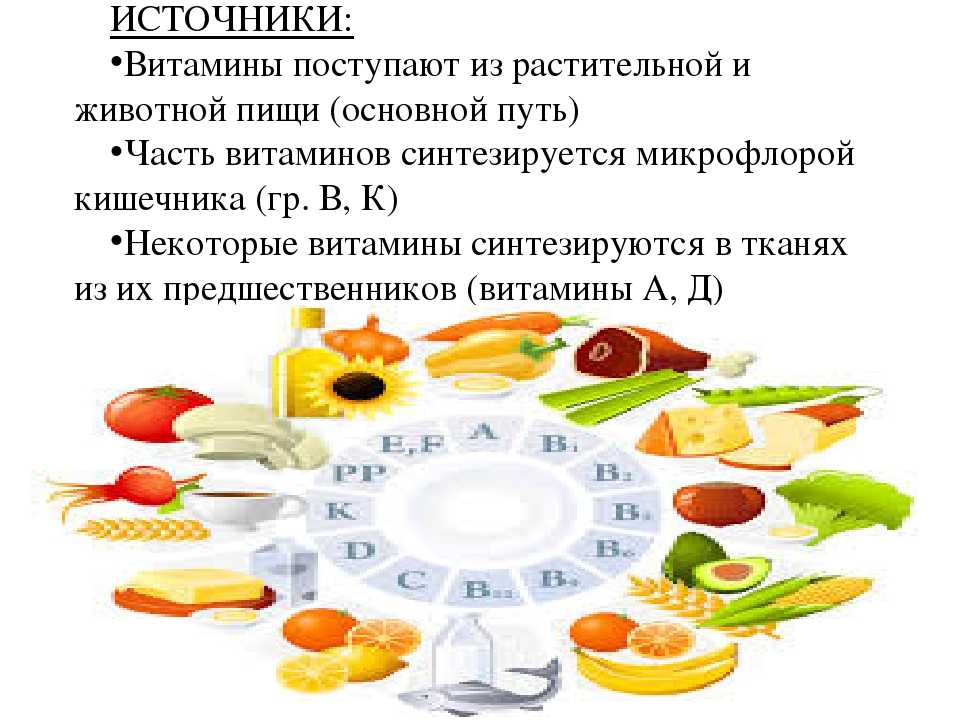 Основные источники витаминов рисунок