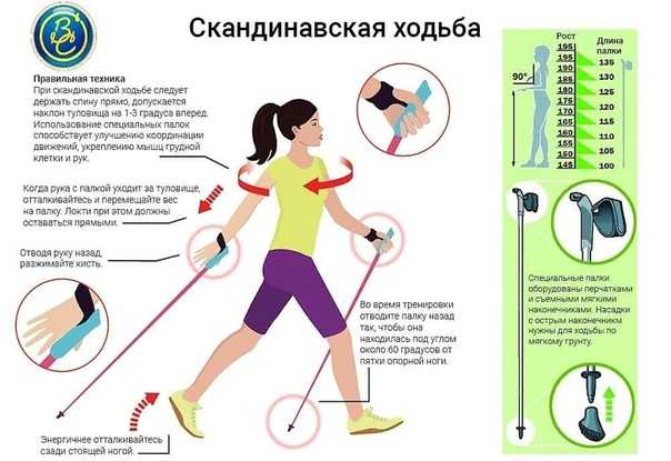 Что полезнее, бег или ходьба для здоровья, плюсы, минусы