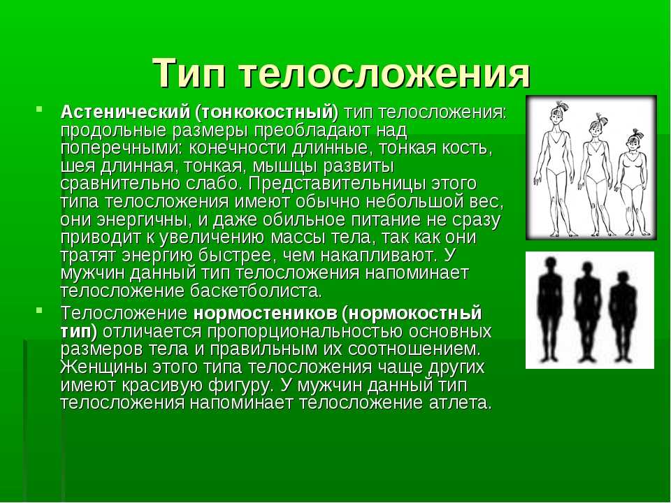 Типы телосложения презентация