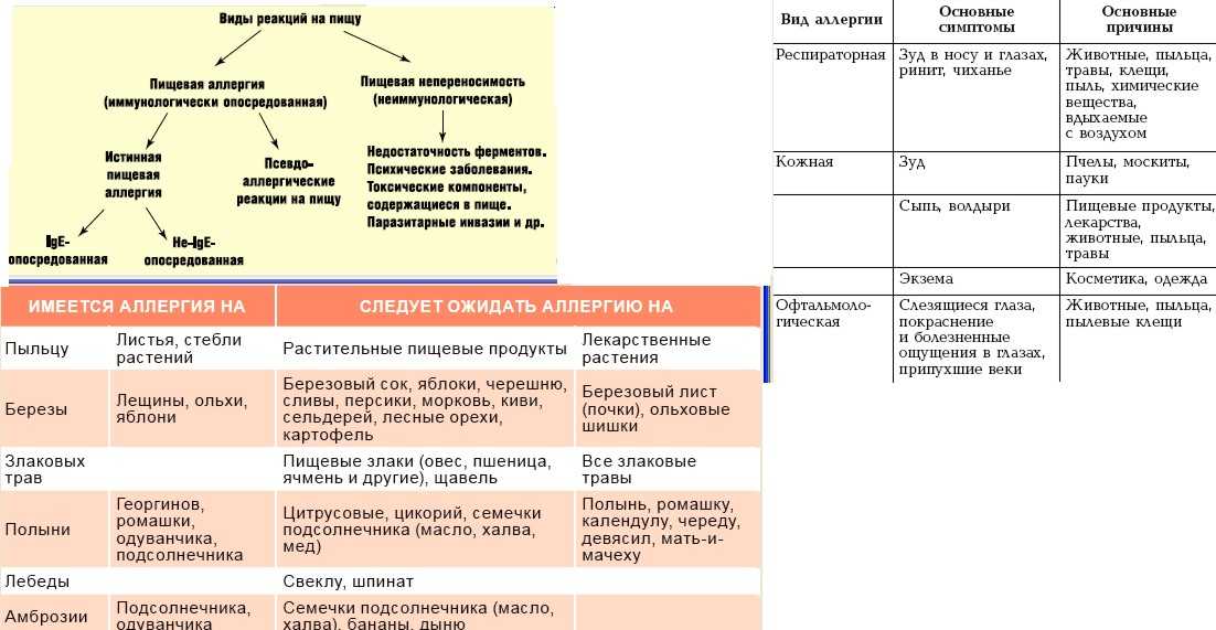 Плоды культуры семейства тыквенных относятся к безопасным пищевым продуктам Пюре из овощей – популярный прикорм для грудных детей Однако употребление кабачков при аллергии опасно, поэтому нужно знать, каковы ее симптомы и методы лечения Кабачки при аллерг