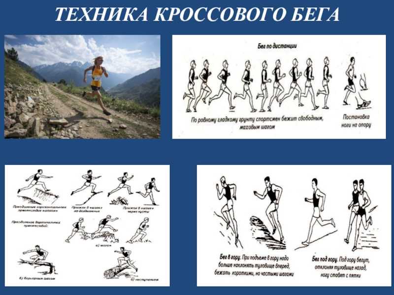Чеклист для подготовки к кроссу: восемь обязательных пунктов