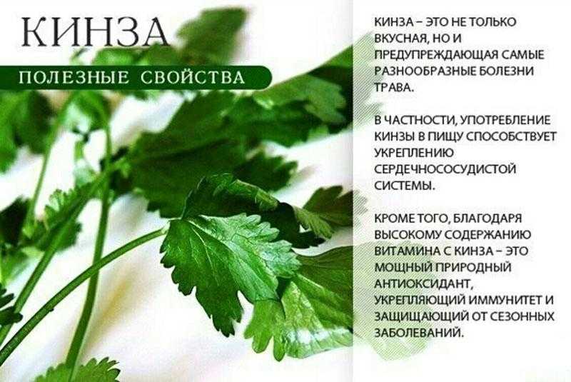 Калорийность белая рыба, все виды. химический состав и пищевая ценность