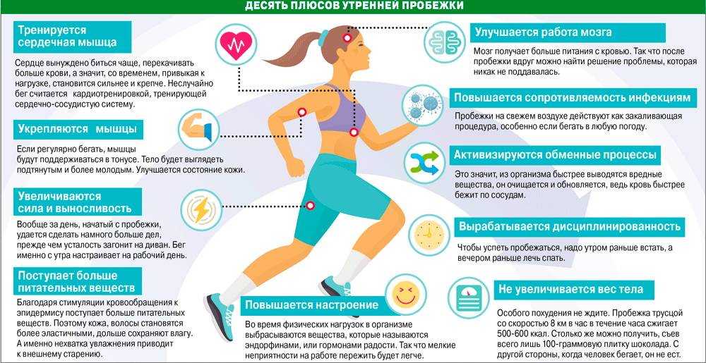 Nft кроссовки — что это такое и как на них зарабатывать