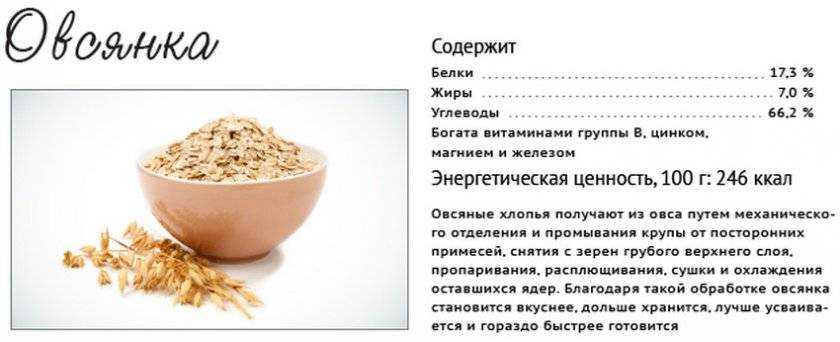 Овсянка: полезные свойства и калорийность | food and health