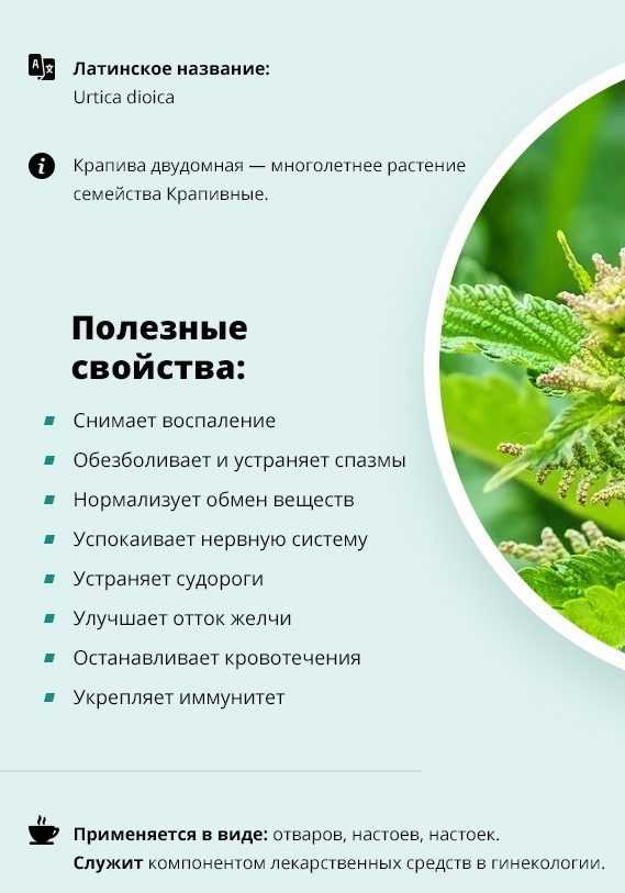 Минеральная вода боржоми (borjomi)