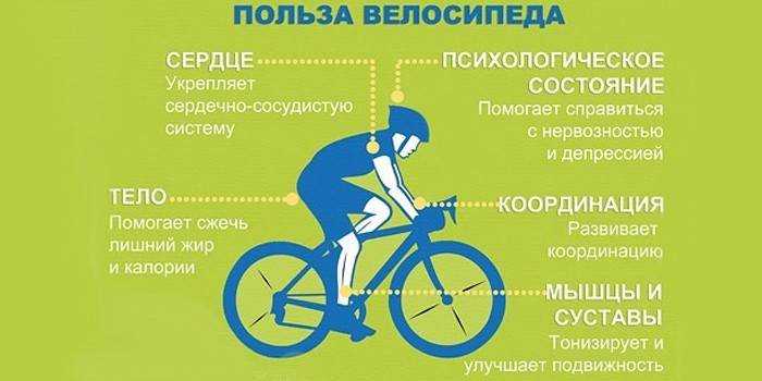 20 причин заняться велоспортом