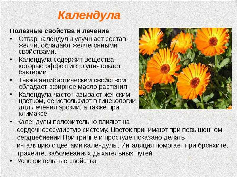 Физиотерапия при беременности – показания и противопоказания