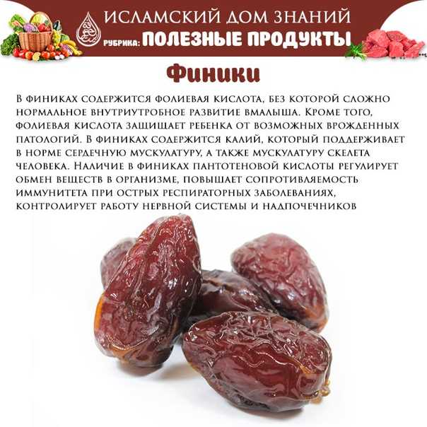 Плоды финиковой пальмы ценят за содержание большого количества витаминов, минералов и аминокислот Финики при беременности полезны как для будущей мамы, так и для ребенка Они поддерживают иммунную, сердечно-сосудистую, нервную системы женщины Витамины и ми