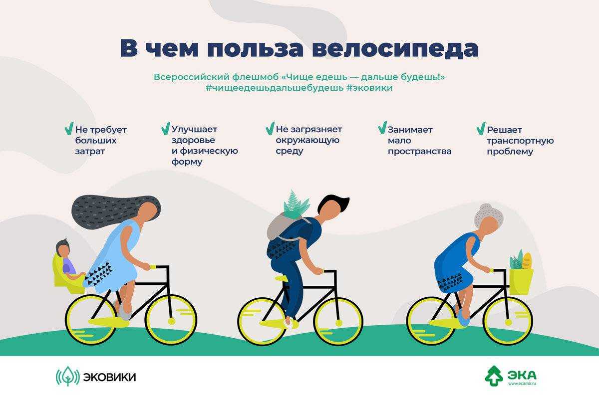 Как правильно ездить на велосипеде, чтобы похудеть? | pokatushkin.ru