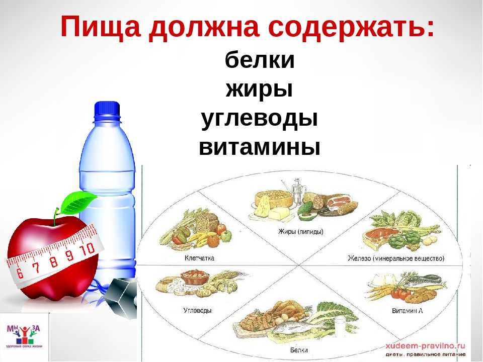 Сколько белка требуется человеку в сутки?