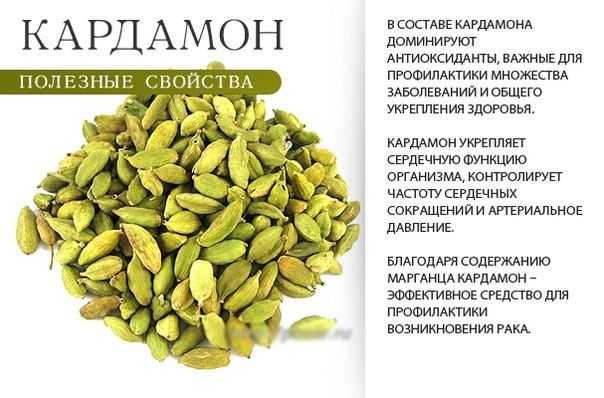 Что такое кардамон и всё, что нужно знать о его свойствах и применении в кулинарии