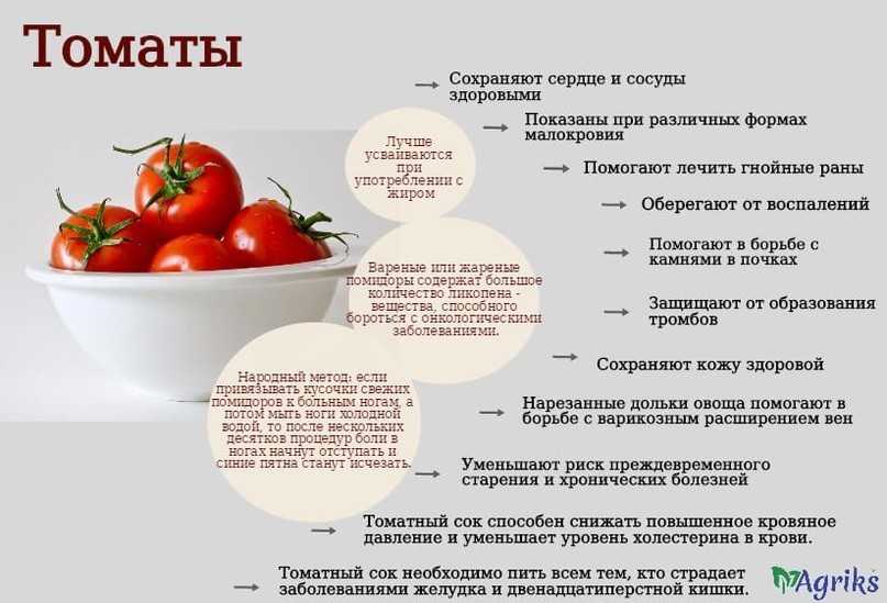 Dieta blanda tomate