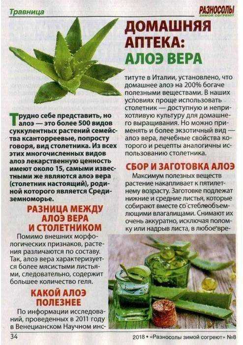 Диета при гастроэзофагеальной рефлюксной болезни | университетская клиника