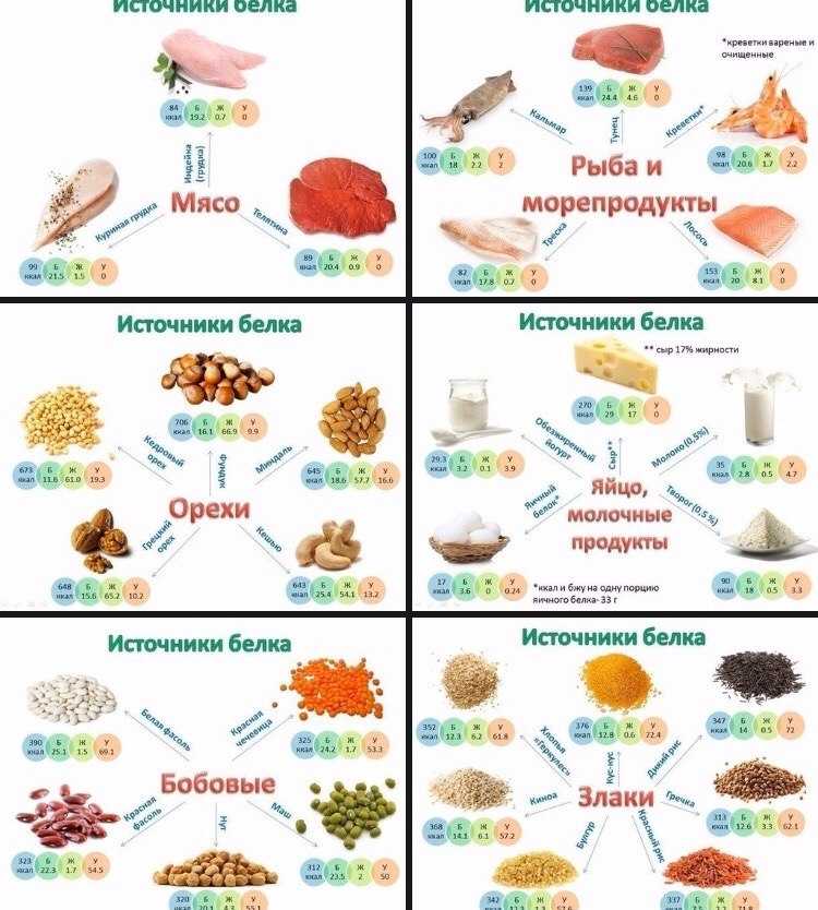 Что такое белок в продуктах питания список с фото
