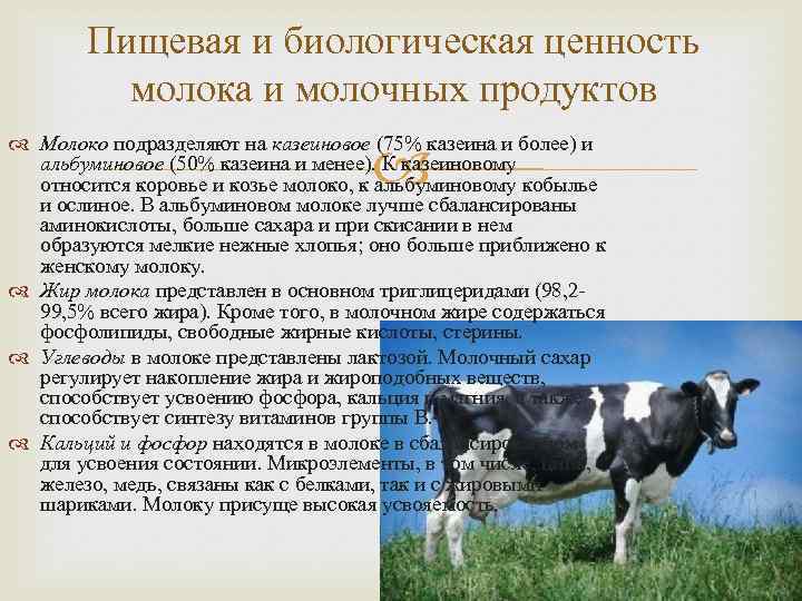 Пищевая ценность молочных