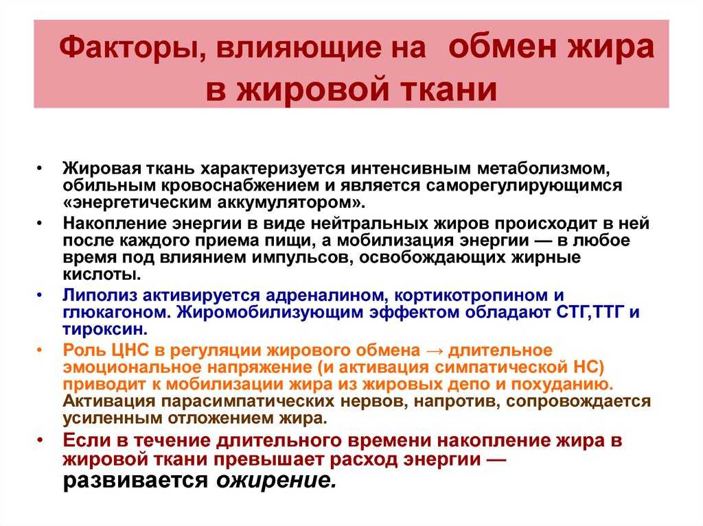Гиполипидеми­ческая диета