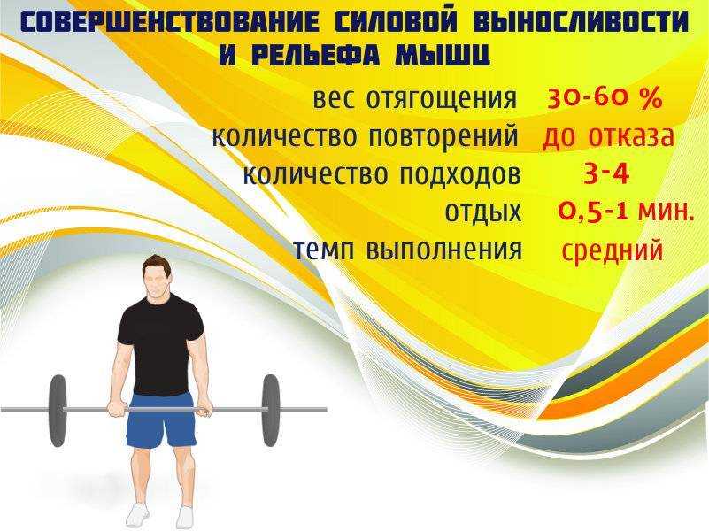 Урок 12 наращивание мышечной массы путем многоповторного тренинга