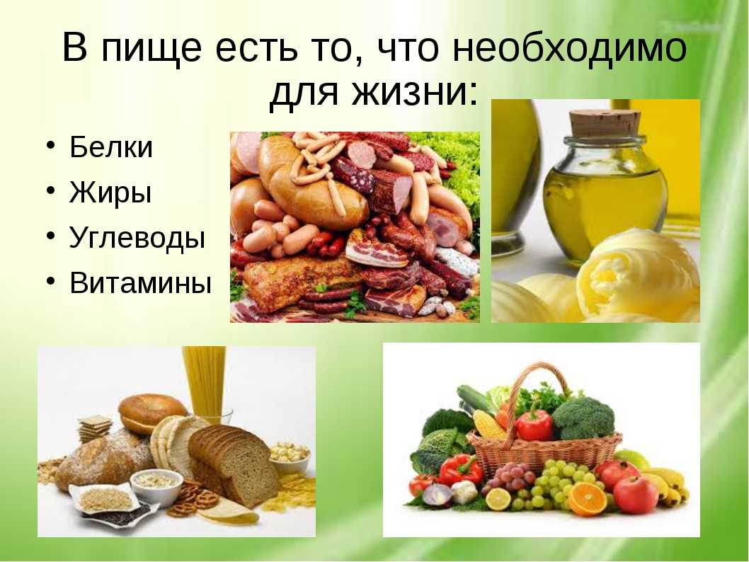 Таблица содержания белка в продуктах питания