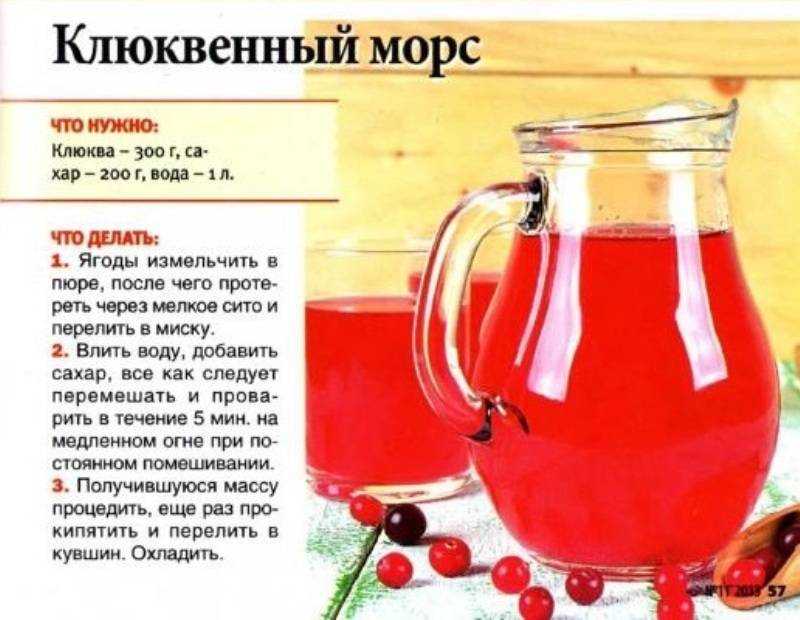 Морс из клюквы как приготовить. Клюквенный морс пропорции сахара и воды. Клюквенный морс пропорции. Лечебный клюквенный морс. Морс из клюквы при пиелонефрите.