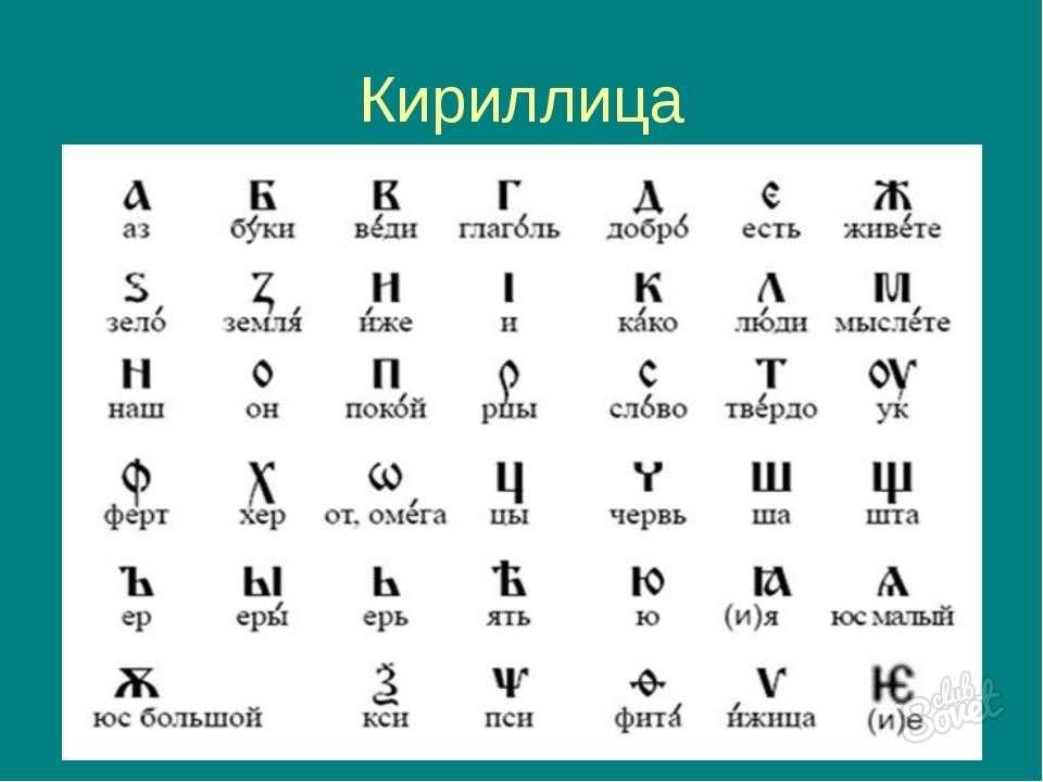 Смешные факты короткие. 100 коротких и интересных фактов о человеке | интересные факты