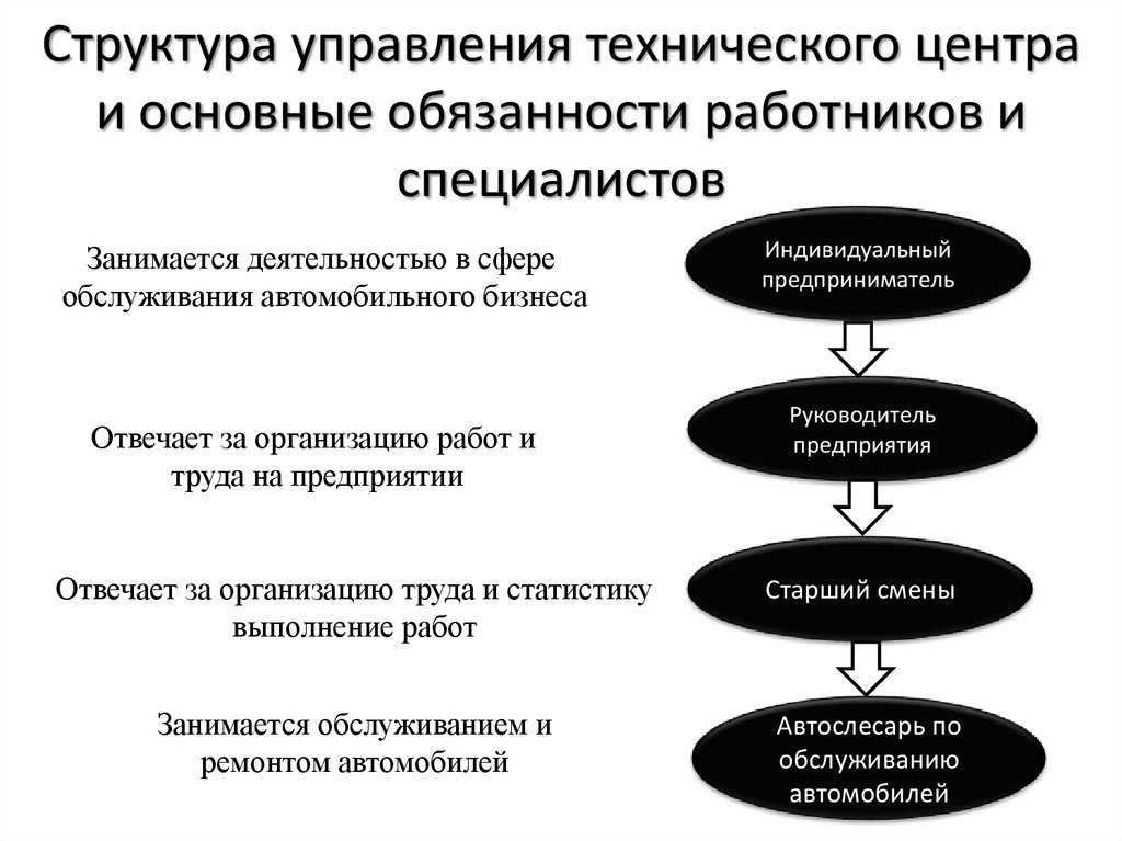 Должностные обязанности генерального директора в ооо: инструкции, функции и требования к кандидату, особенности должностной инструкции + видео