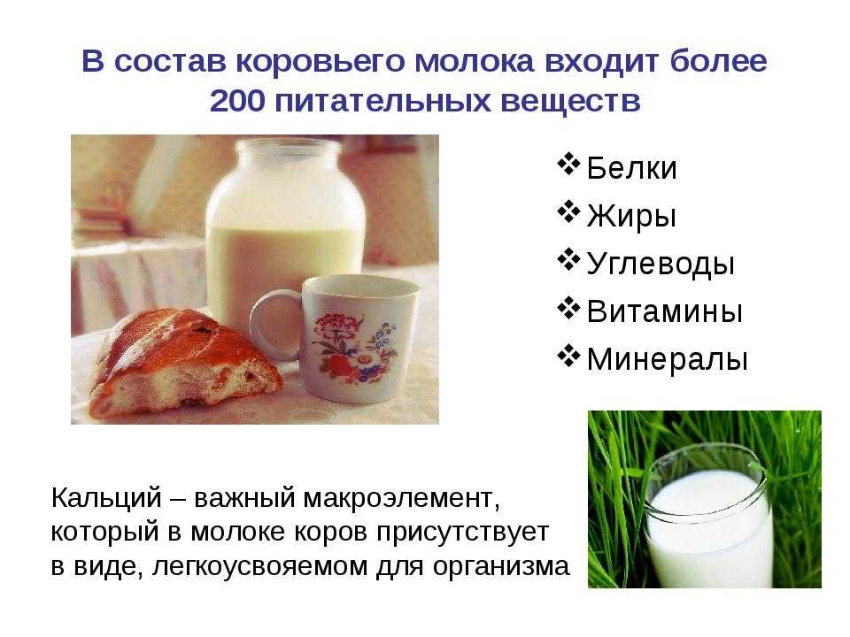 Молоко- польза и вред, состав бжу, витаминов и минералов