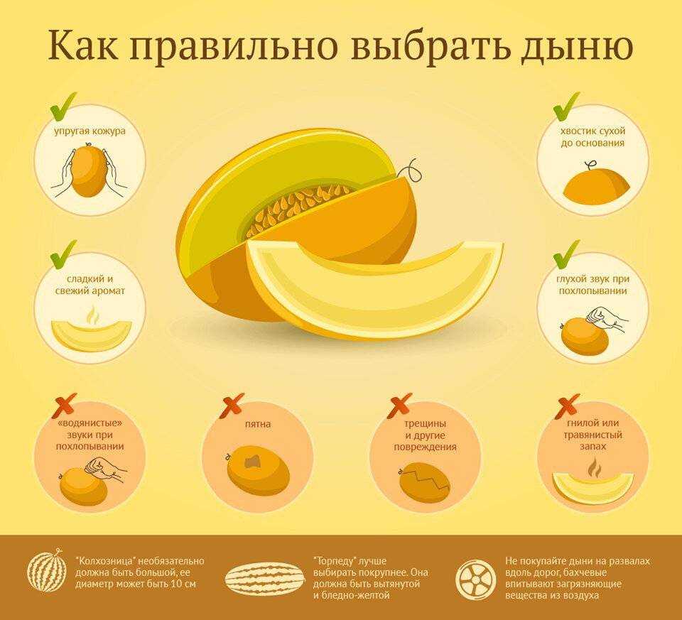 Дыня: виды и польза | food and health