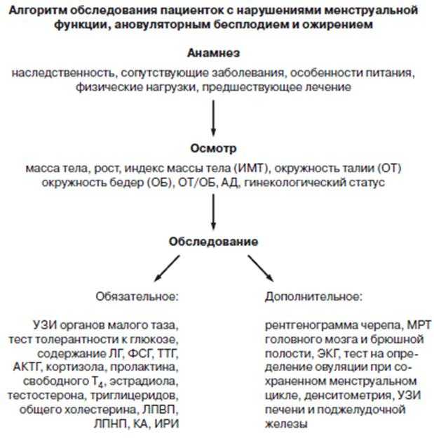 Фитнес-мифы: углеводы и жиры нельзя есть вместе - fitlabs / ирина брехт