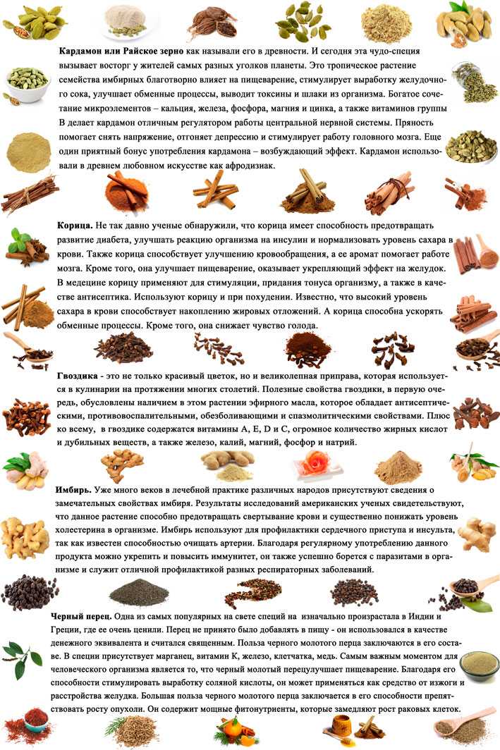 Таблица бжу продуктов в 100 граммах: белки, жиры, углеводы