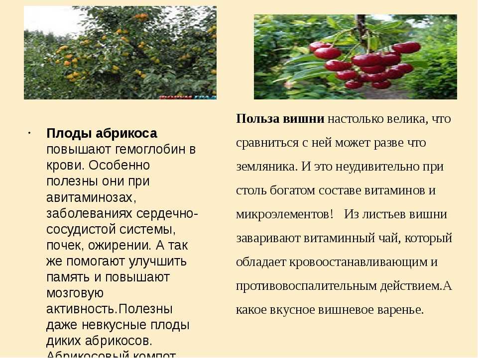 Роль правильного питания в поддержании нормального веса