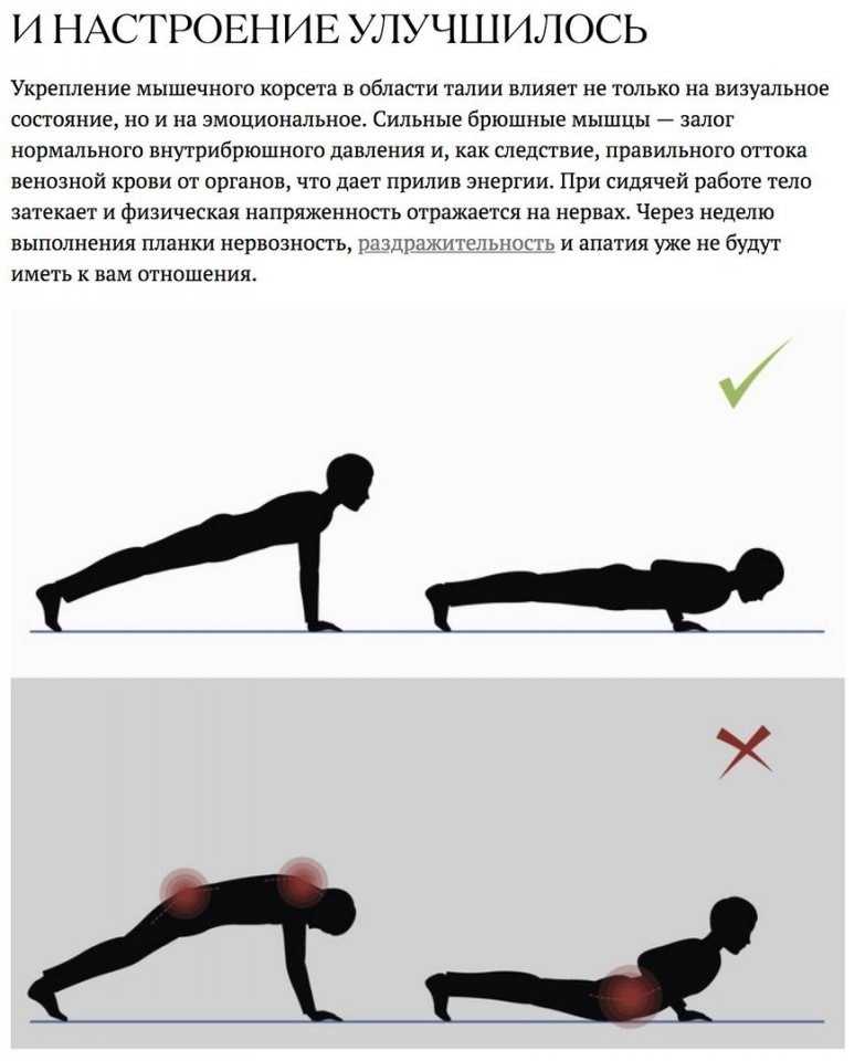 Планка каждый день: что даст упражнение и как изменится ваш организм