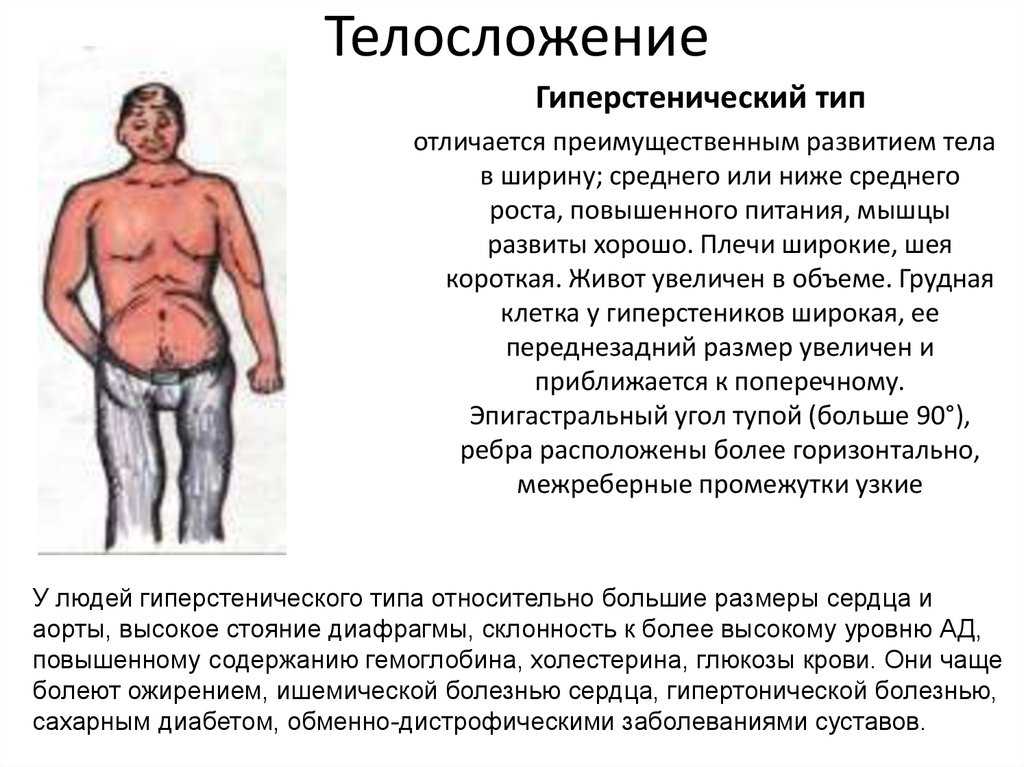 Нормостеническое телосложение у мужчин что это такое фото