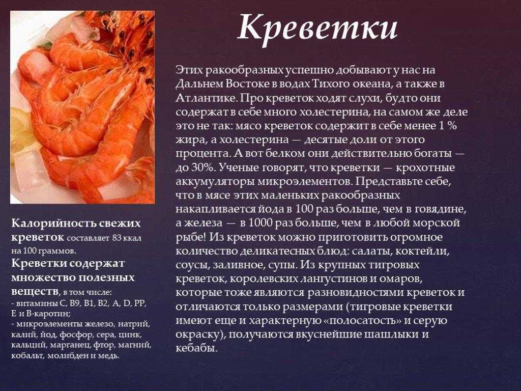 Гребешки морские - что это такое, особенности приготовления и свойства