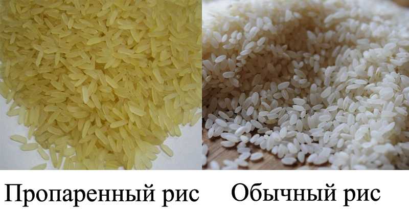 Различие риса. Рис длиннозерный непропаренный. Рис шлифованный длиннозерный пропаренный. Рис шлифованный пропаренный для плова. Рис белый рассыпчатый длиннозерный.