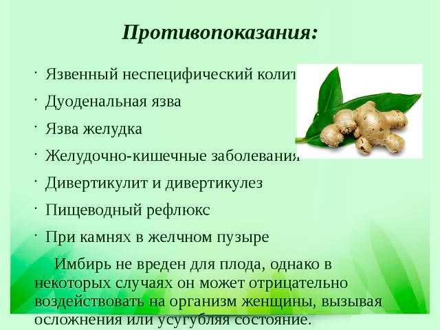 Влияние имбиря на организм. Имбирь полезные свойства и противопоказания. Имбирь полезные свойства. Чем полезен имбирь. Чем полезен имбирь для организма.