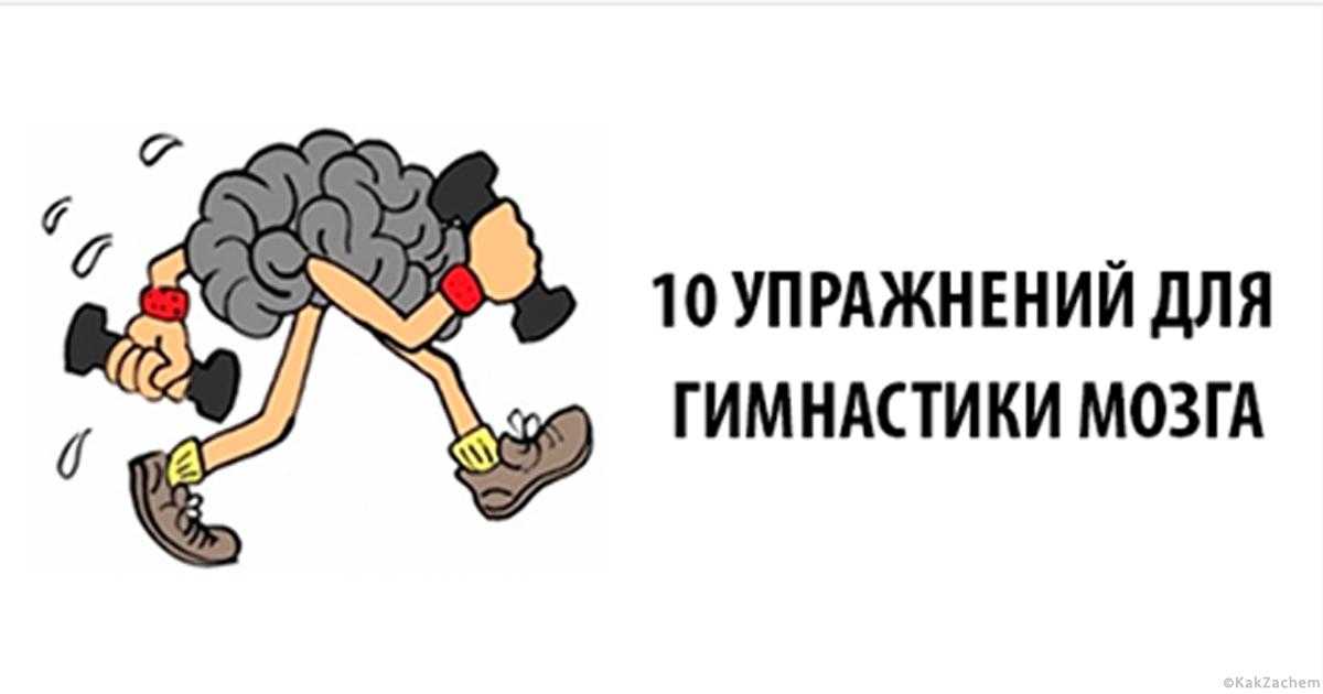 Фитнес для мозгов. Упражнения для мозга. Гимнастика мозга. Гимнастика мозга картинки. Упражнения для мозга картинки.