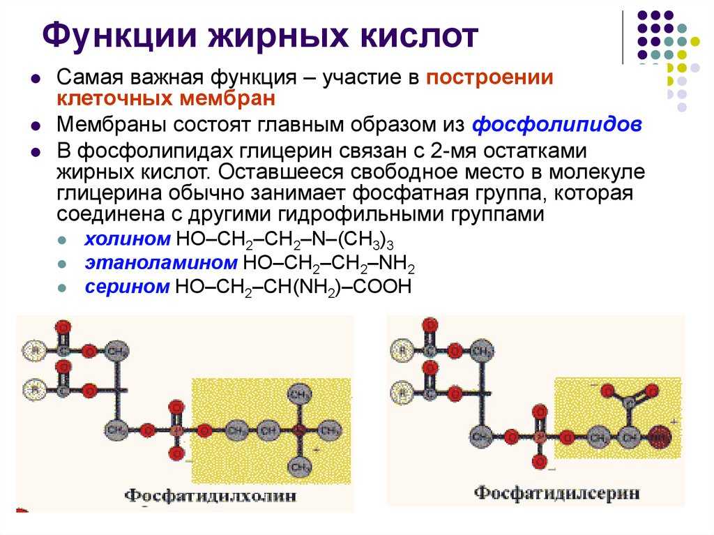 Реакция организма на кислоту. Биологические функции жирных кислот.