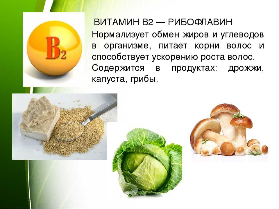 Витамин в7 продукты. Витамин б2 рибофлавин. Рибофлавин витамин в2 содержится. Продукты богатые витаминами группы в. Витамины группы б продукты.