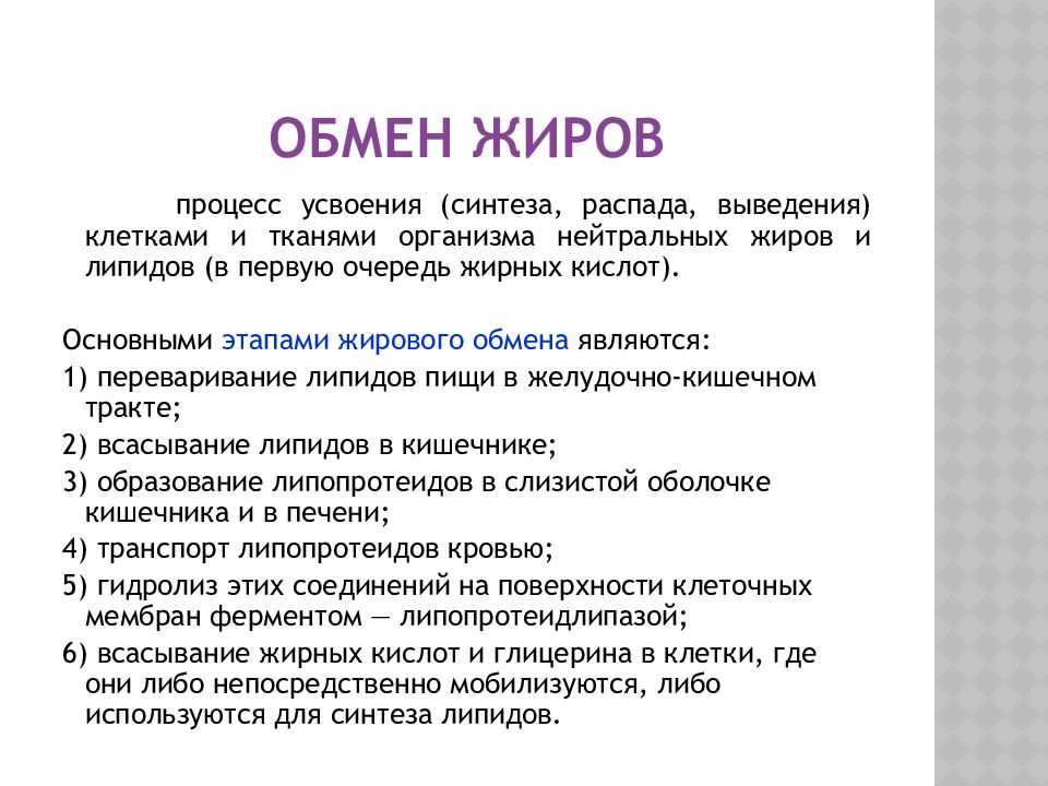 Жиры в организме, в каких продуктах содержится больше всего – эл клиника