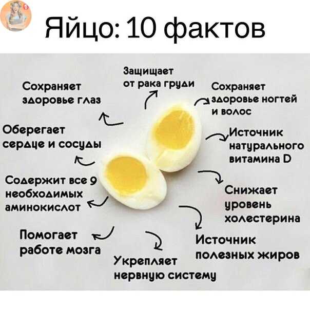 Сколько белка можно есть за один раз? миф про 30 грамм - fitlabs / ирина брехт