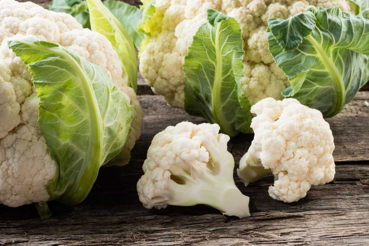 Школа диабета — гликемический индекс продуктов: полная таблица, как рассчитать