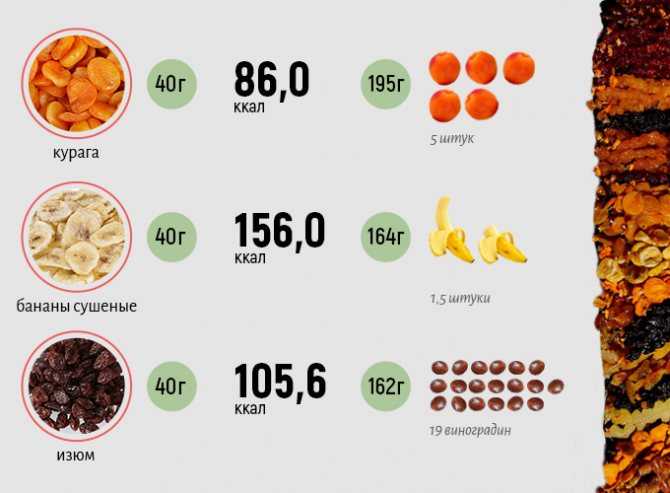 Польза, вред, калорийность сметаны на 100 грамм