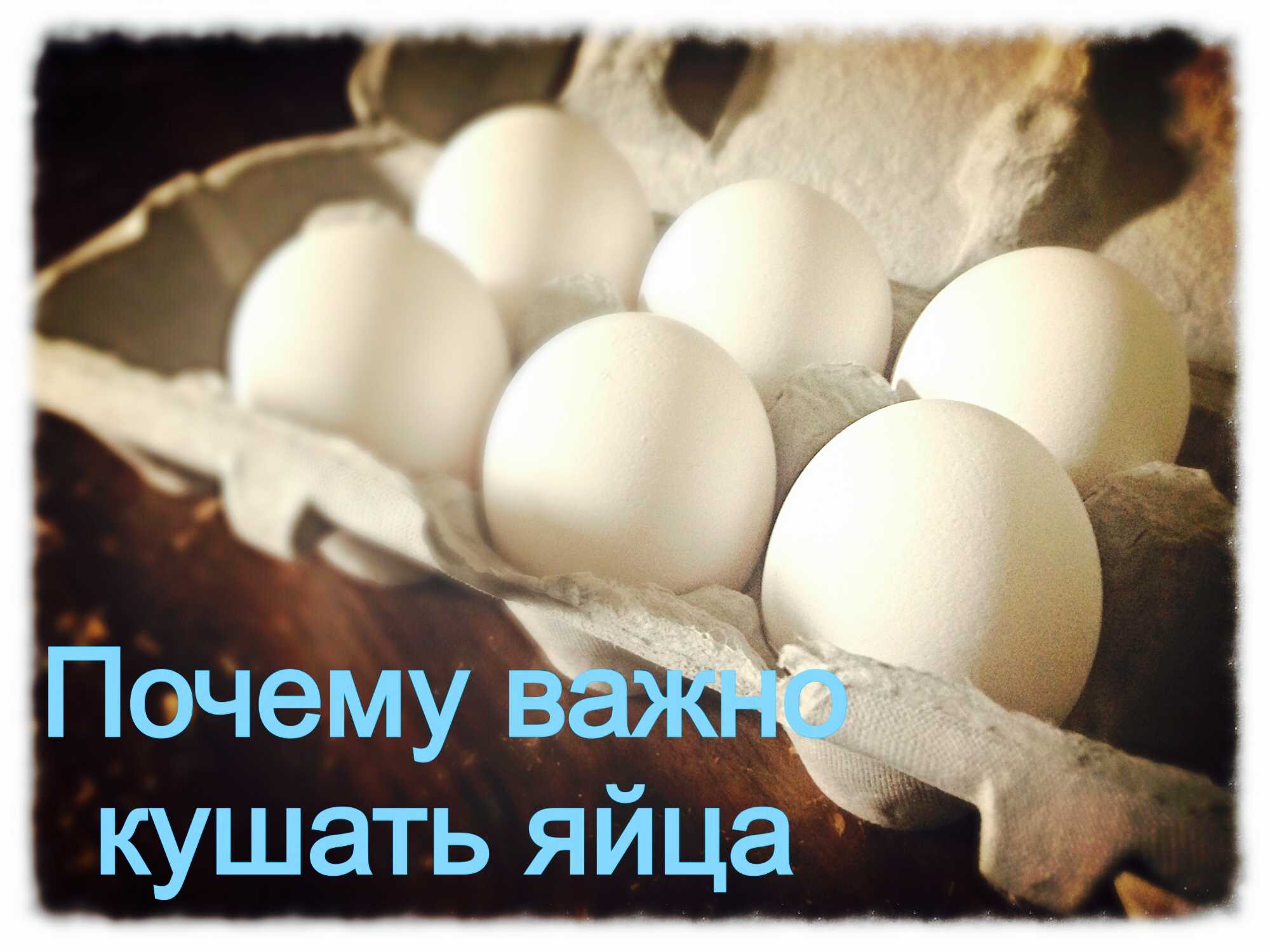 Пить яйца каждый день