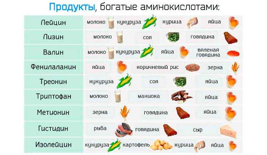 Аминокислоты в продуктах питания: таблица, какие содержат, норма потребления