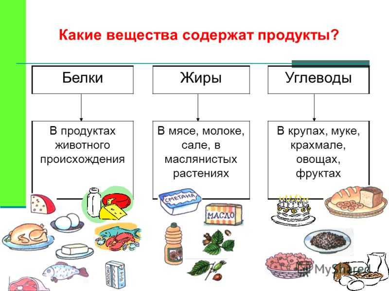 Блок схема дистрофия бжу