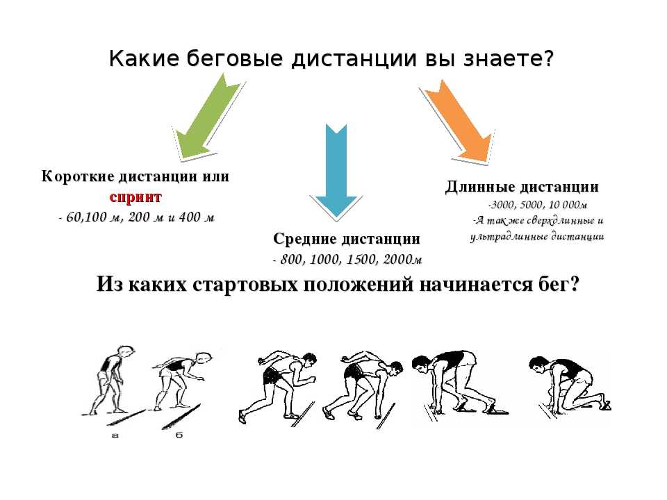 Виды и основные этапы бега подпиши изображения